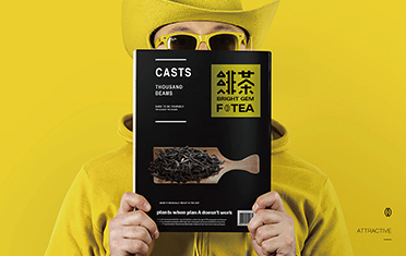 内蒙古绯茶品牌设计